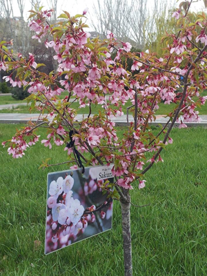 20160412_3.jpg
