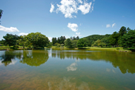 Hiraizumi3