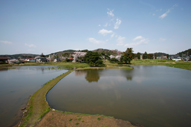 Hiraizumi4