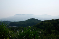 Hiraizumi5