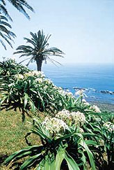 Пляж Нитинан. Префектура Миядзаки