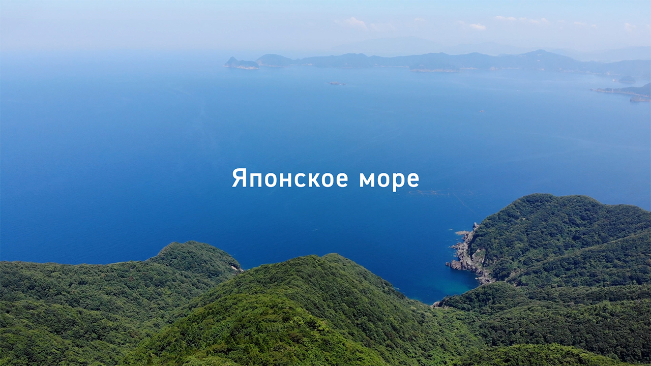 Японское Море Фото